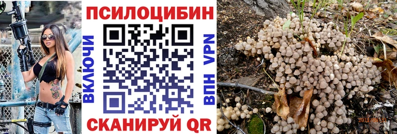 купить  цена  Чердынь  Псилоцибиновые грибы мицелий 