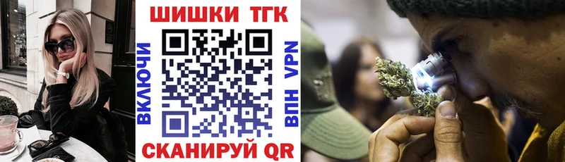 Конопля гибрид  Чердынь 